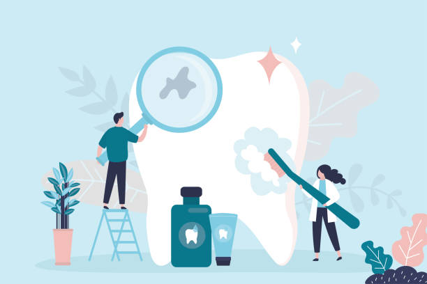 Best Preventive Dentistry  in Platte City, MO